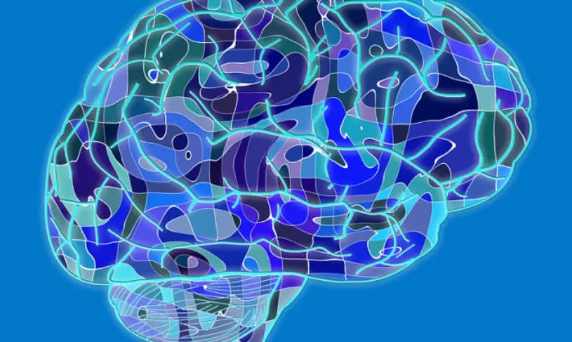 BrainVoyager