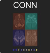 Conn (fMRI analysis)